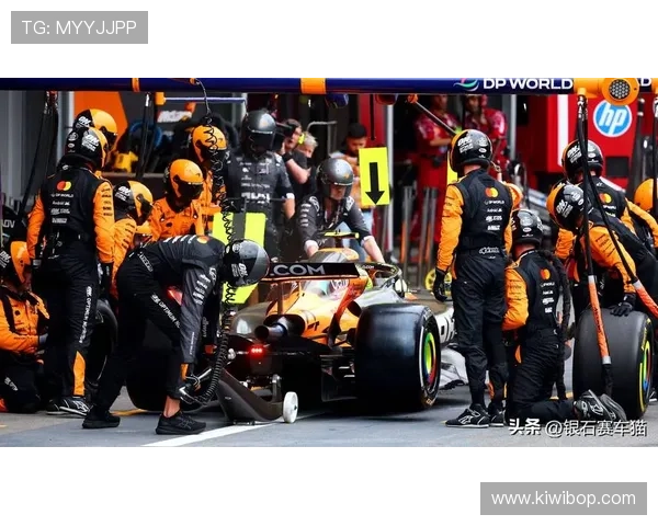 诺里斯：新规致F1刹车区速度差大易引发事故